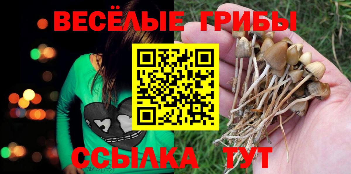 Псилоцибиновые грибы ЛСД Красноармейск