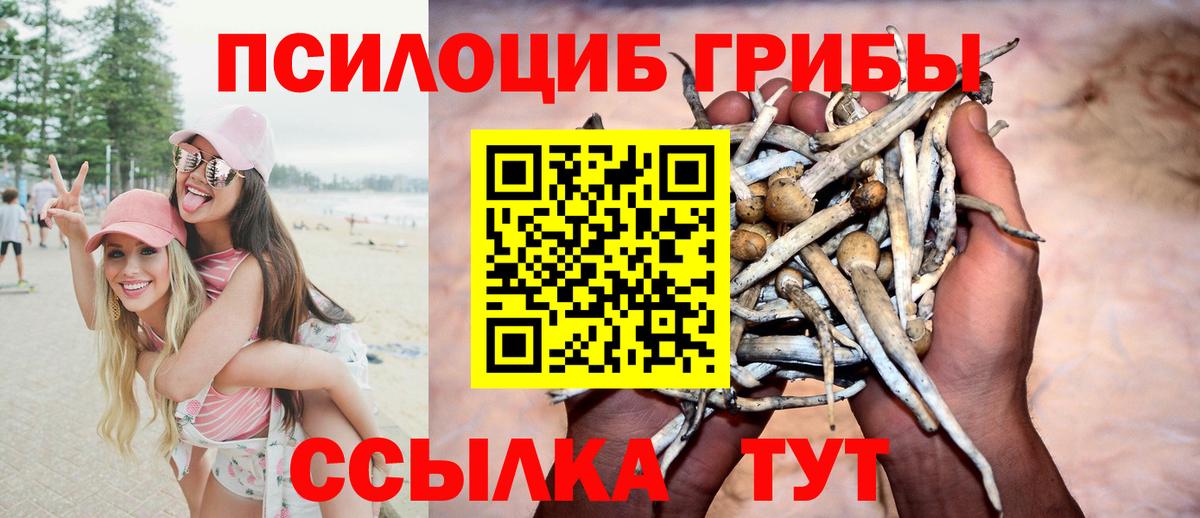 Галлюциногенные грибы Psilocybe  Вход с VPN  Красноармейск 